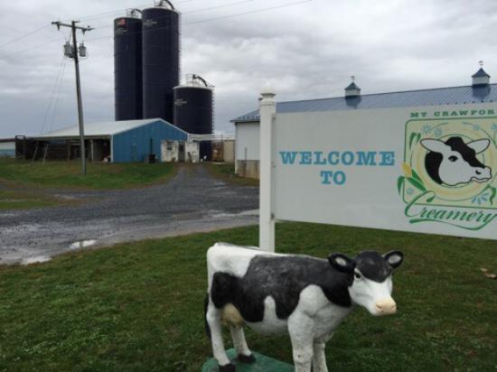 Mt. Crawford Creamery
